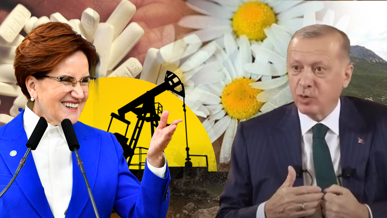 Meral Akşener'den Erdoğan'a 'petrol' yanıtı: "Gabar'da mezar kazarken petrol bulmuş. Papatya çayı da etkilemez, artık Xanax, vaziyet öyle"