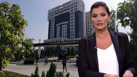 Hande Fırat hakkında 'hibe desteği' suç duyurusu