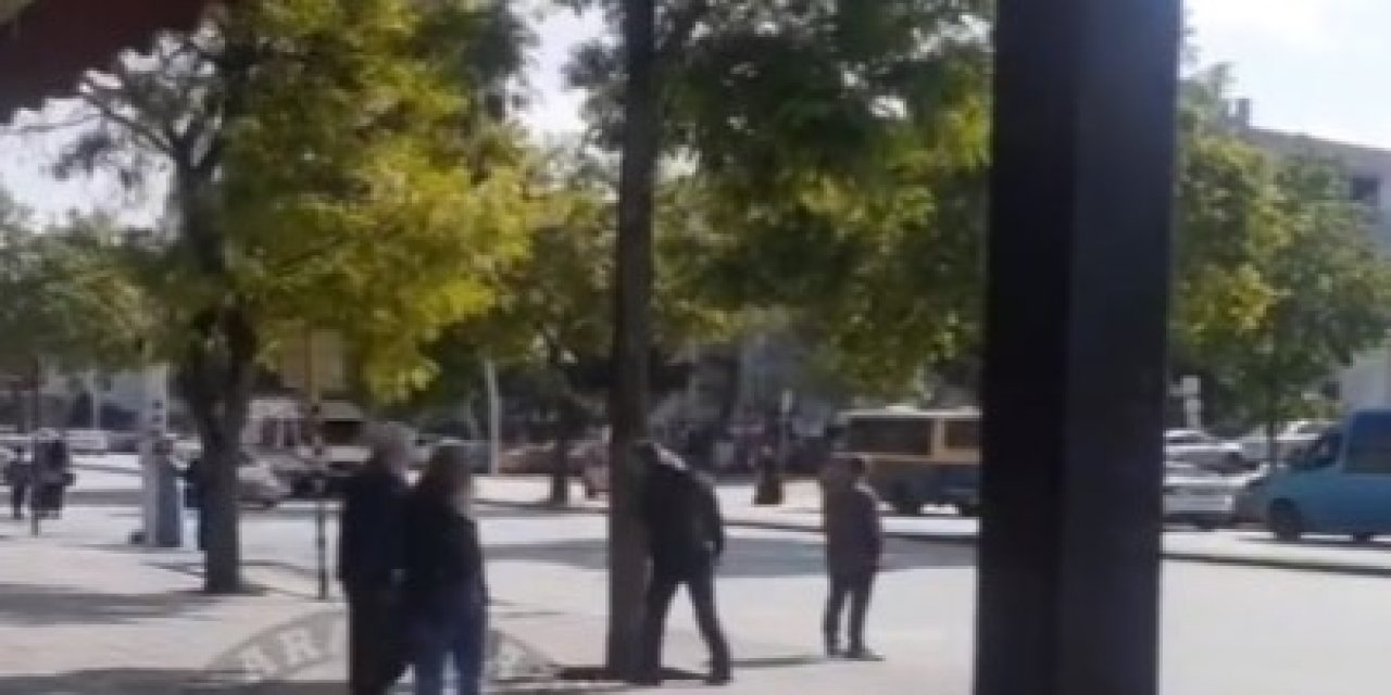 Ankara'da bir vatandaş ağaçla kavga etti