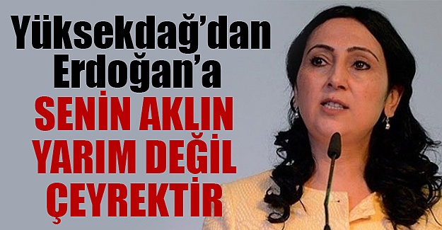 Yüksekdağ'dan Erdoğan'a: Senin aklın yarım değil çeyrektir