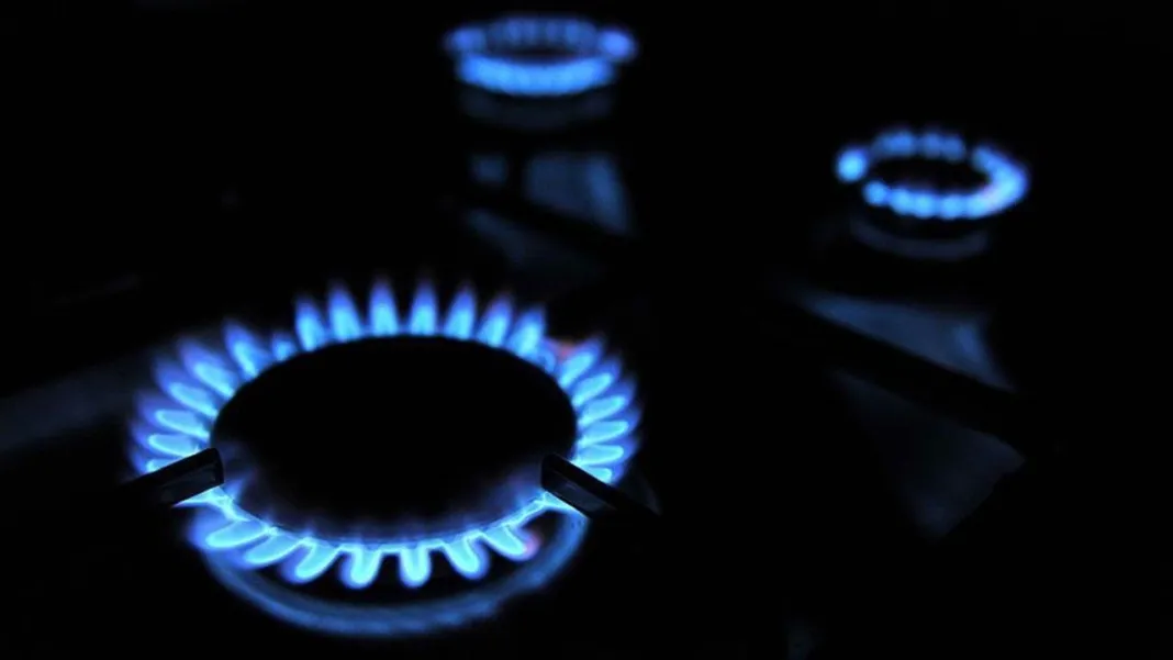 Mayıs ayındaki ücretsiz doğalgaz uygulaması enflasyon hesaplarını değiştirdi