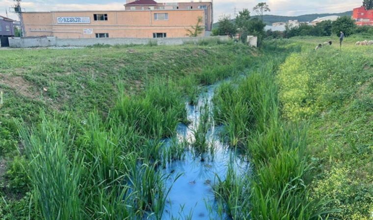 Derenin rengi maviye döndü! İSKİ'den açıklama geldi