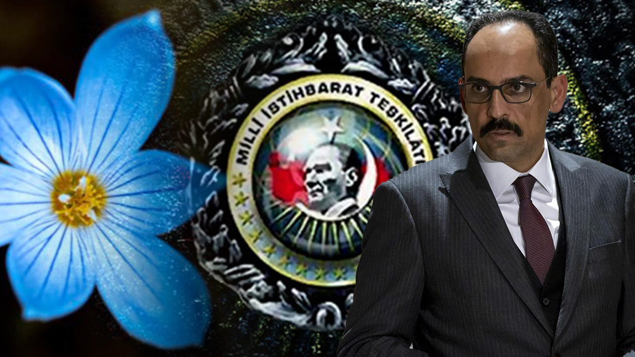 MİT müsteşarlığı için adı geçen İbrahim Kalın'ın profilinde 'mavi keten çiçeği' mesajı