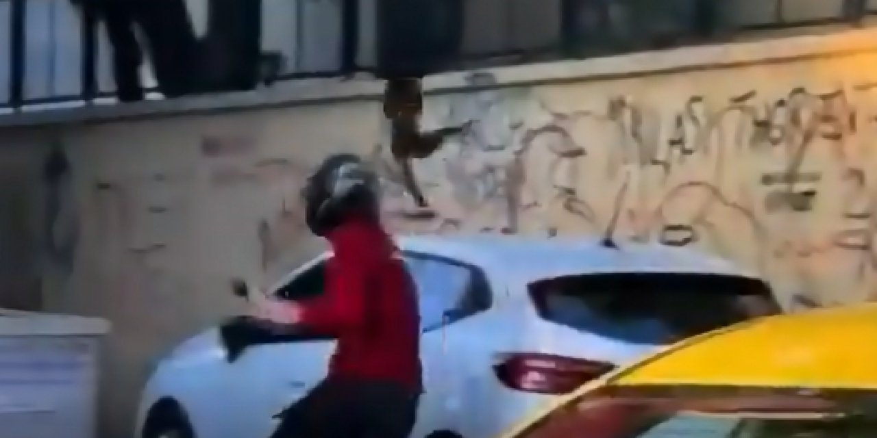Karga çetesi yine Kadıköylülere hayatı zehir etti