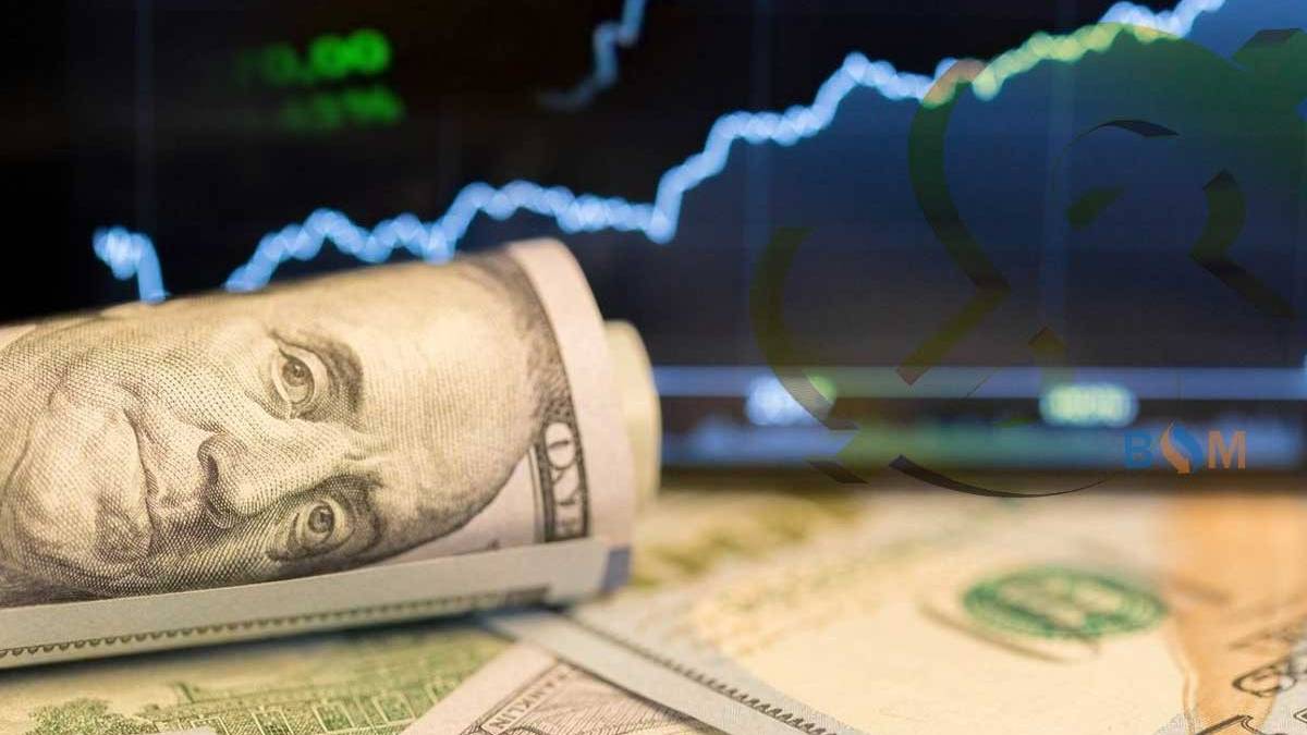 Döviz mevduatı olan ve dolar borcu olanlar dikkat! Ünlü ekonomist uyardı
