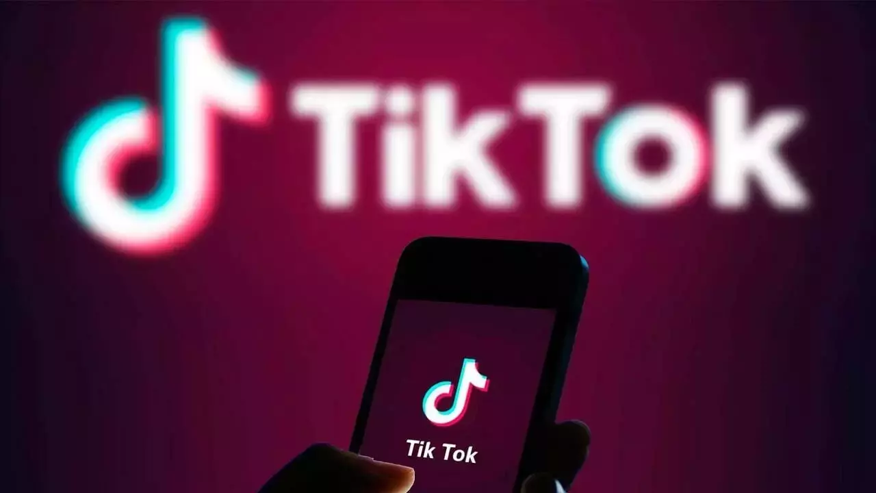 Tiktok'ta 1,2 Milyar Liralık vurgun! 37 ilde eş zamanlı operasyon düzenlendi
