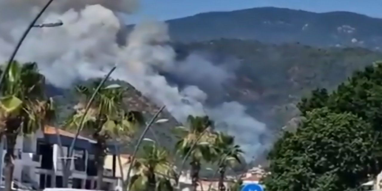 Marmaris'teki orman yangınında dehşete düşüren ayrıntı! Kan donduran sebep