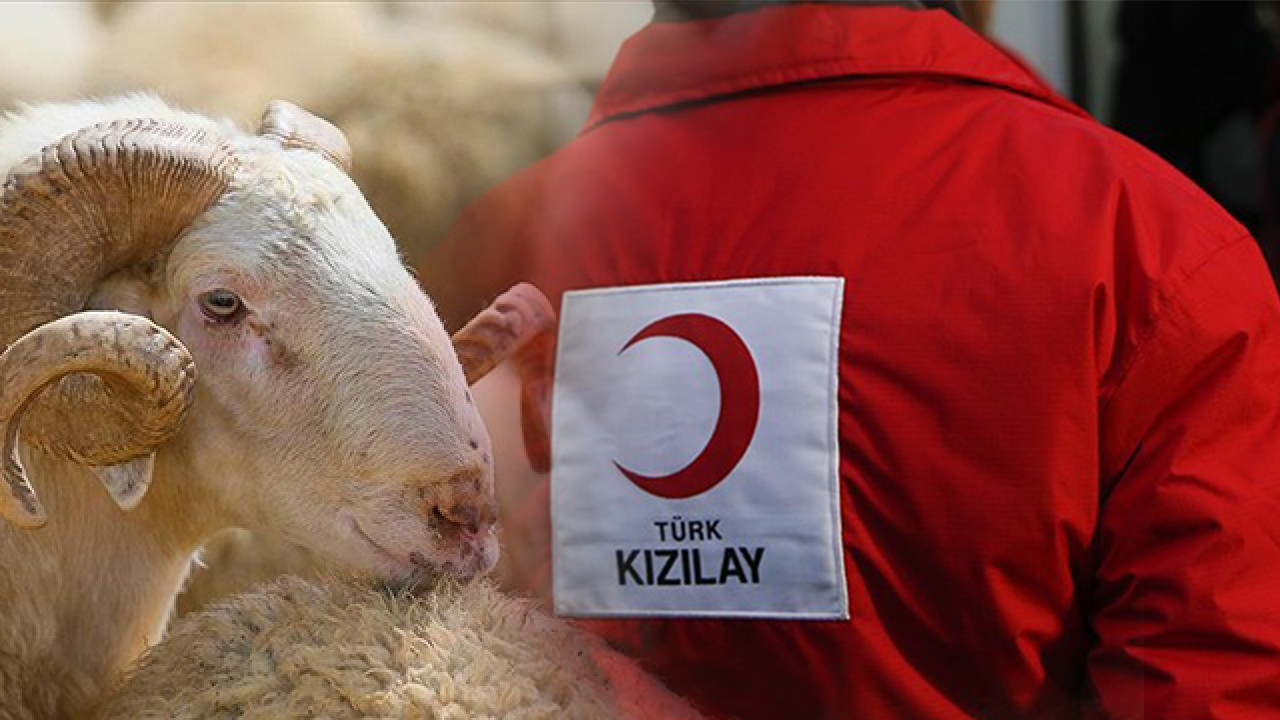 Kızılay'a bağışlanan kurbanlık sayısında sert düşüş! On binlerce kişi bağış yapmadı