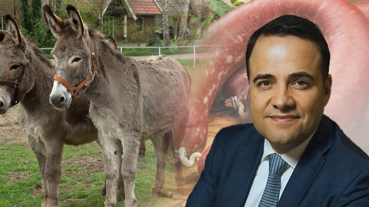 Özgür Demirtaş, Türkiye'deki eşeklerin sayısını paylaştı
