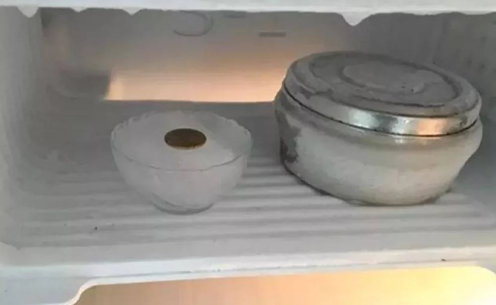 Buzluğunuza 1 TL koyarsanız... Bu yöntemle gıdalarınız güvende olacak