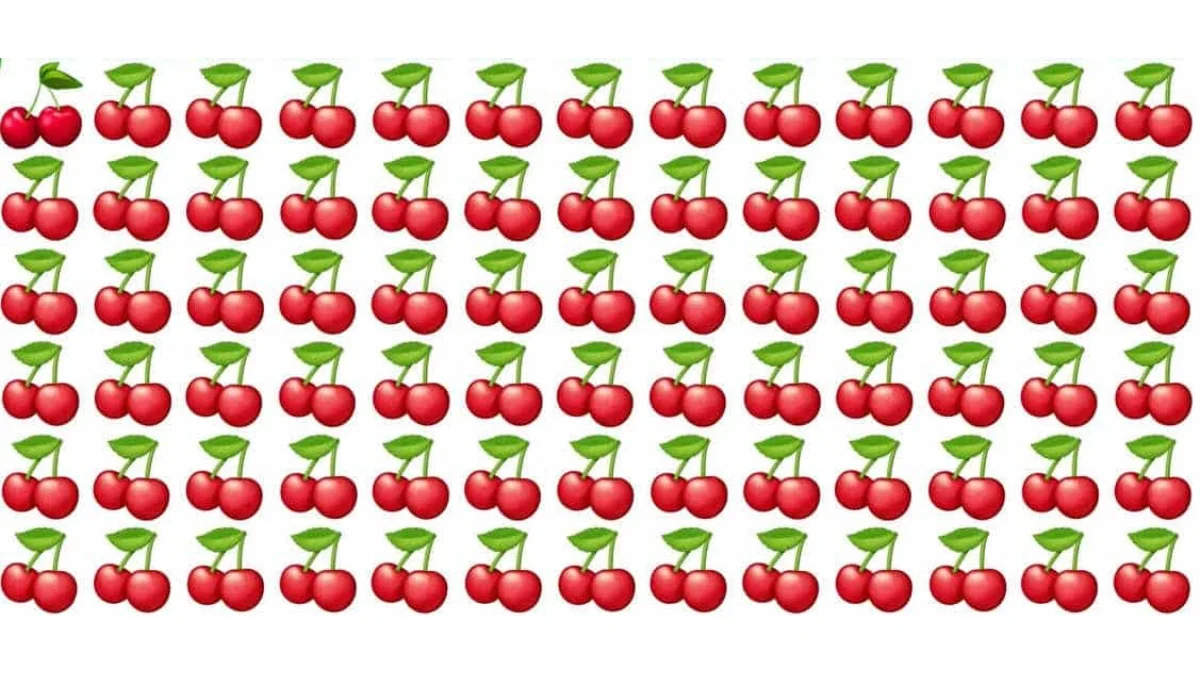 Resimdeki farklı kirazı bulanların IQ'su en az 140 çıkıyor!