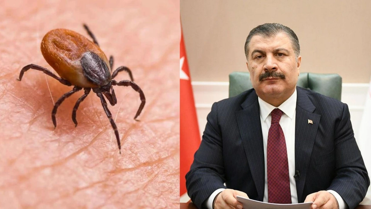 Bakan Koca uyardı! Kırım Kongo Kanamalı Ateşi vakaları arttı