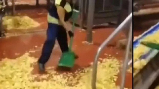 Cips fabrikasında mide bulandıran görüntü! Yerden kürekle topladılar