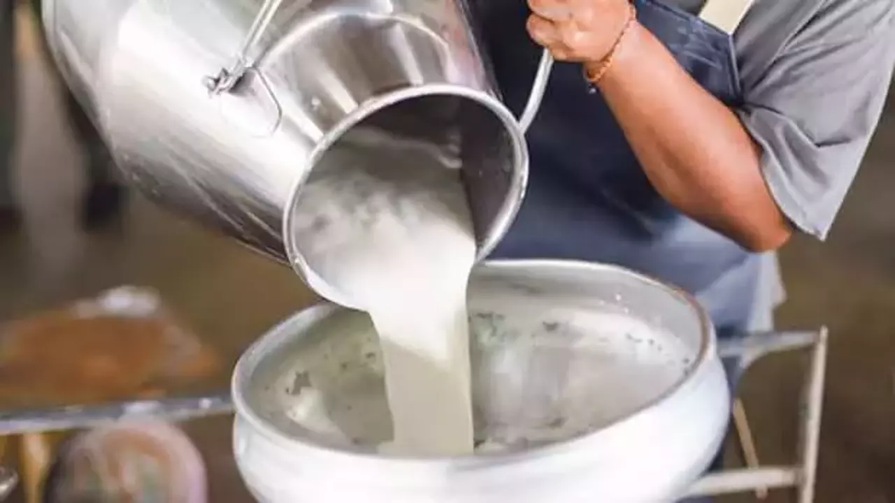 Çiğ süte zam geldi!