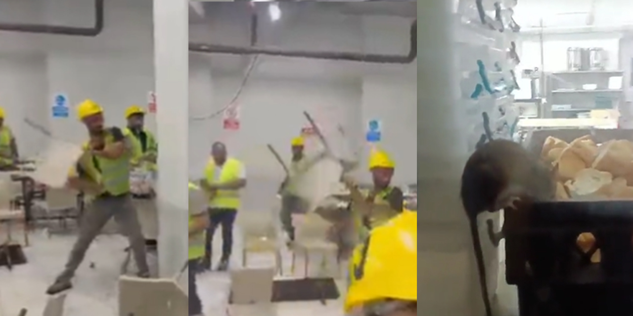 Otel inşaatında çalışan işçiler 'artık yeter' dedi! Fareler bastı, bardak taştı... Kölelik koşullarına isyan ettiler