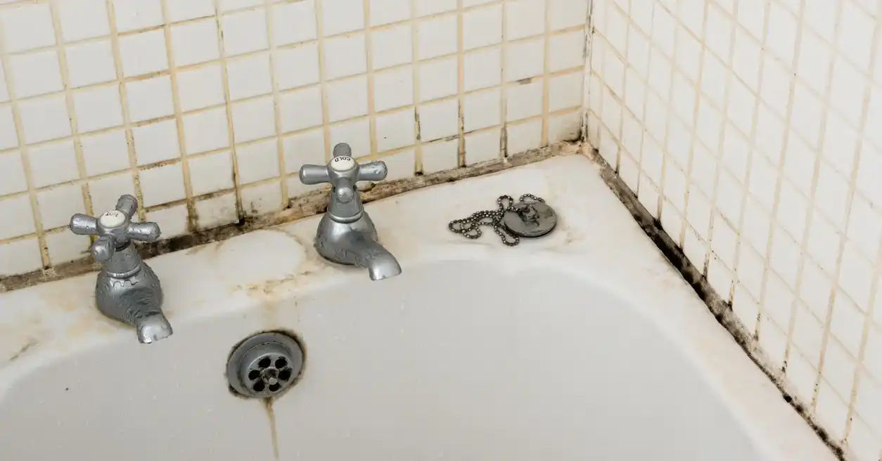 Tesisatçıların sırrı açığa çıktı! Banyo duvarındaki küflerden böyle kurtuluyorlarmış