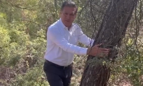 Mustafa Sarıgül Akbelen'de ağaca sarıldı: "Beni kesin beni kesin"