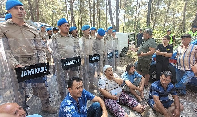 Muğla Valiliği'nden açıklama: Akbelen'de kesim işlemleri sona erdi
