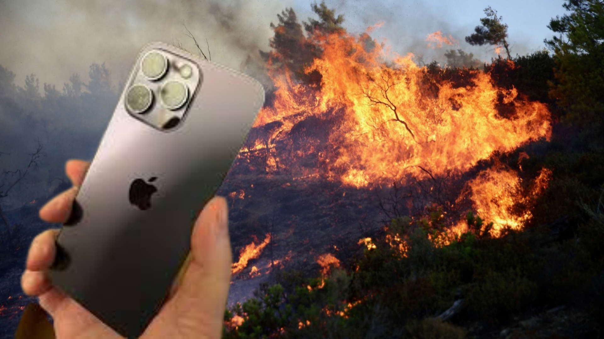 iPhone 14 bir ormanı yanmaktan kurtardı