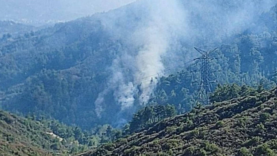 Muğla ve Hatay'da orman yangını