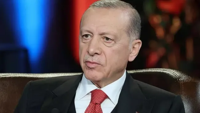 Erdoğan'dan sokak hayvanlarıyla ilgili flaş düzenleme kararı