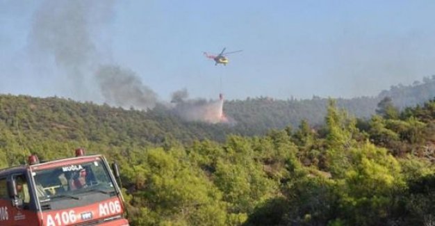 Datça'da orman yangını