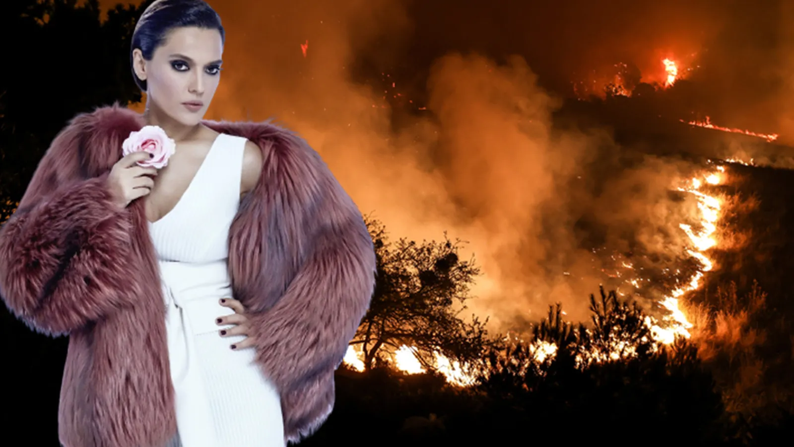 Demet Akalın'dan Çanakkale yangınıyla ilgili olay yorum
