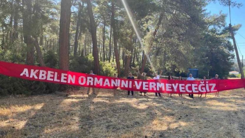 Akbelen'deki ağaç kesiminin ardından tarihi eserler de tehdit altında