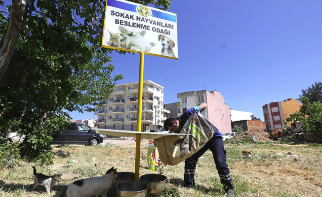 Can dostları için “sıcak” önlemi
