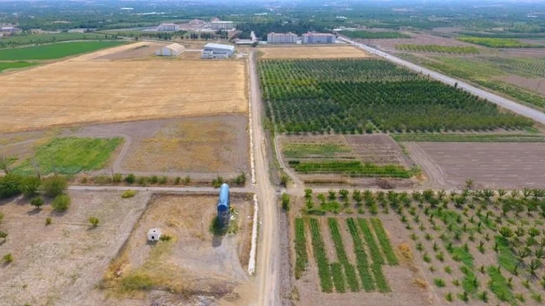 Mirastan arazisi olanlar dikkat! Hükümet yeni kanun çıkardı