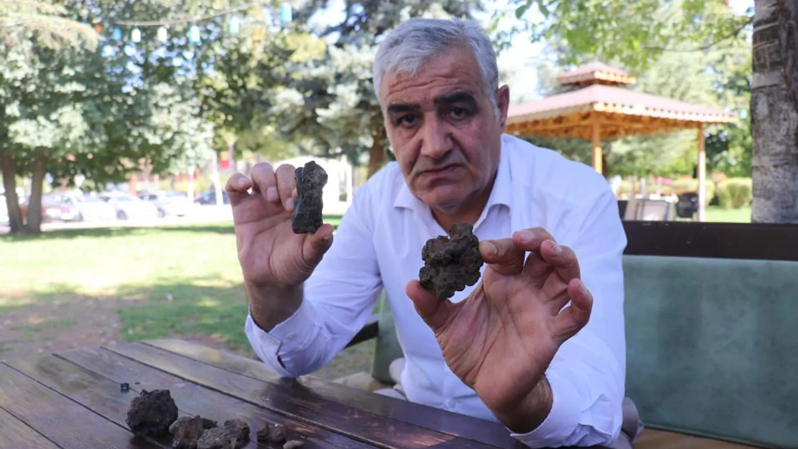 Mantar toplarken buldu: Gramına 200 dolar verdiler! Yıkarken içindeki sıvıyı fark etti