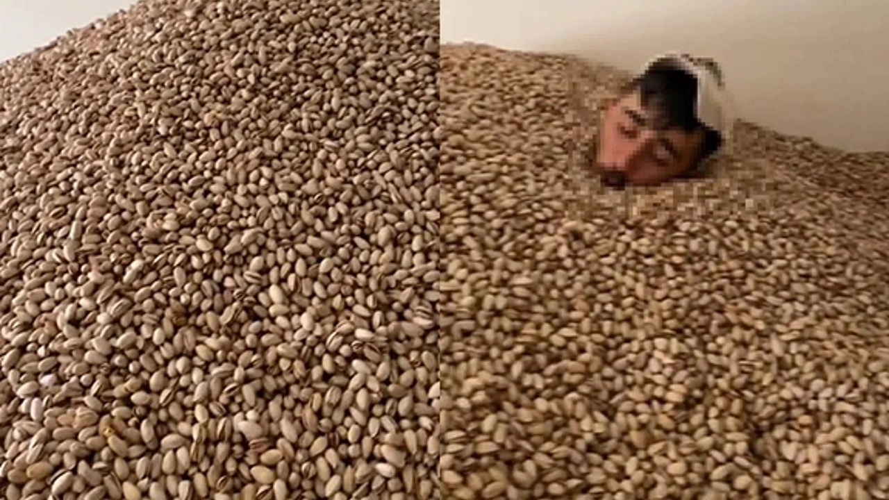 Fıstık deposunda skandal görüntüler! Tarım ve Orman Bakanlığı harekete geçti