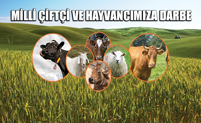 Milli ve yerli çiftçi ve hayvancımızı sırtından vurdular
