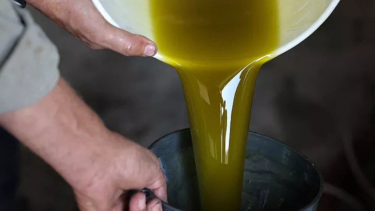 Her gün zeytinyağı tüketmek bunamadan ölüm riskini yüzde 28 azaltabilir