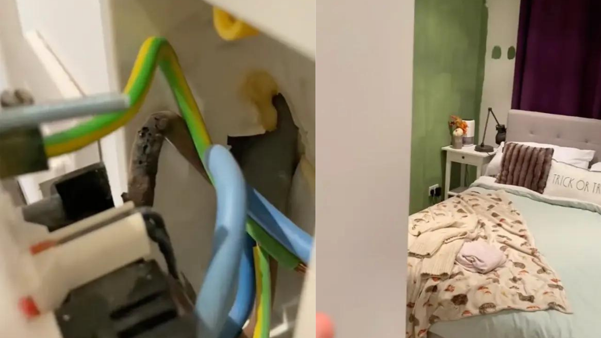 Yatak odasından gelen balık kokusunun sebebini anlayınca şoke oldu