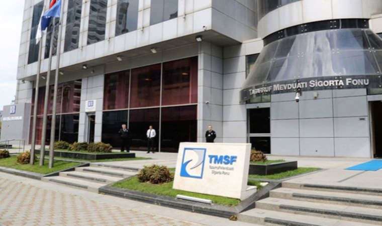 TMSF iki şirketi satışa çıkardı
