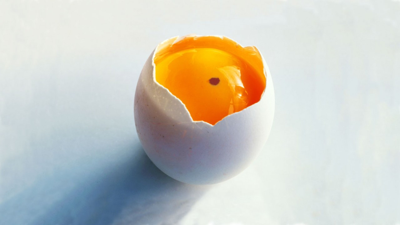 Yumurta sarısında görülen leke neden olur? Lekeli yumurta yenir mi?
