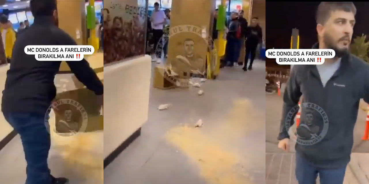 Bir kutu fareyi McDonalds şubesinin içine fırlattı