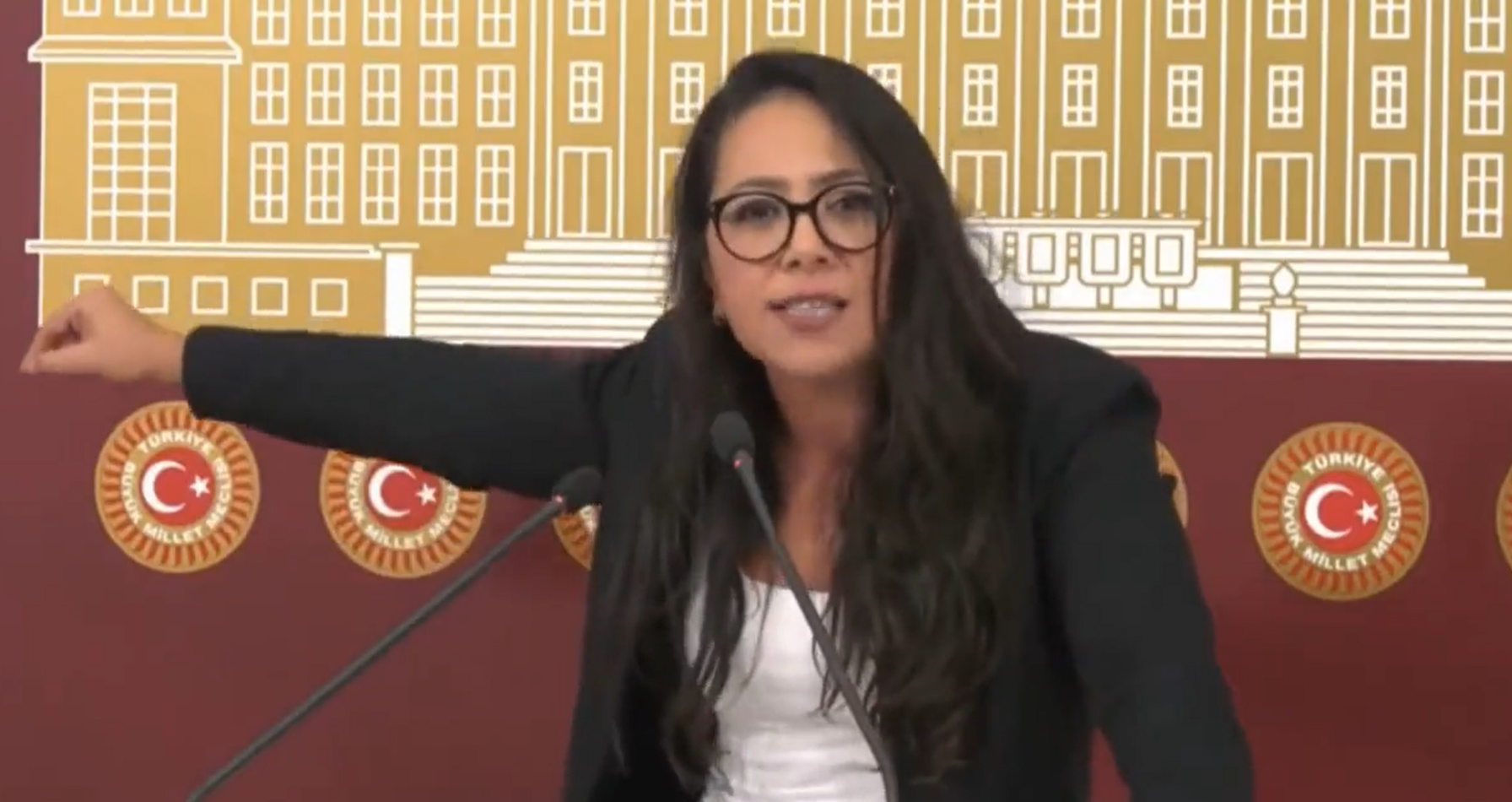 TİP Sözcüsü Sera Kadıgil'den 'hukuk krizi' ile ilgili sert sözler: "Ortada anayasa yoksa devlet yoktur. Ortada anayasa yoksa cumhurbaşkanı yoktur"