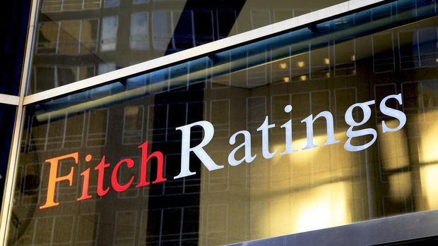 Fitch: Kredi artışı yavaşladı