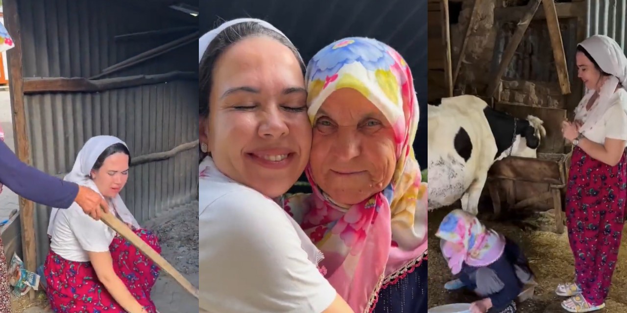 Tayyargiller inek sağdı