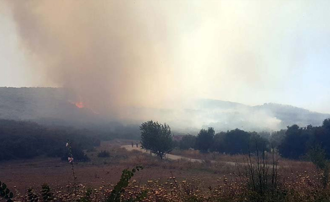 İzmir'de 3 gündür devam eden yangına yenisi eklendi