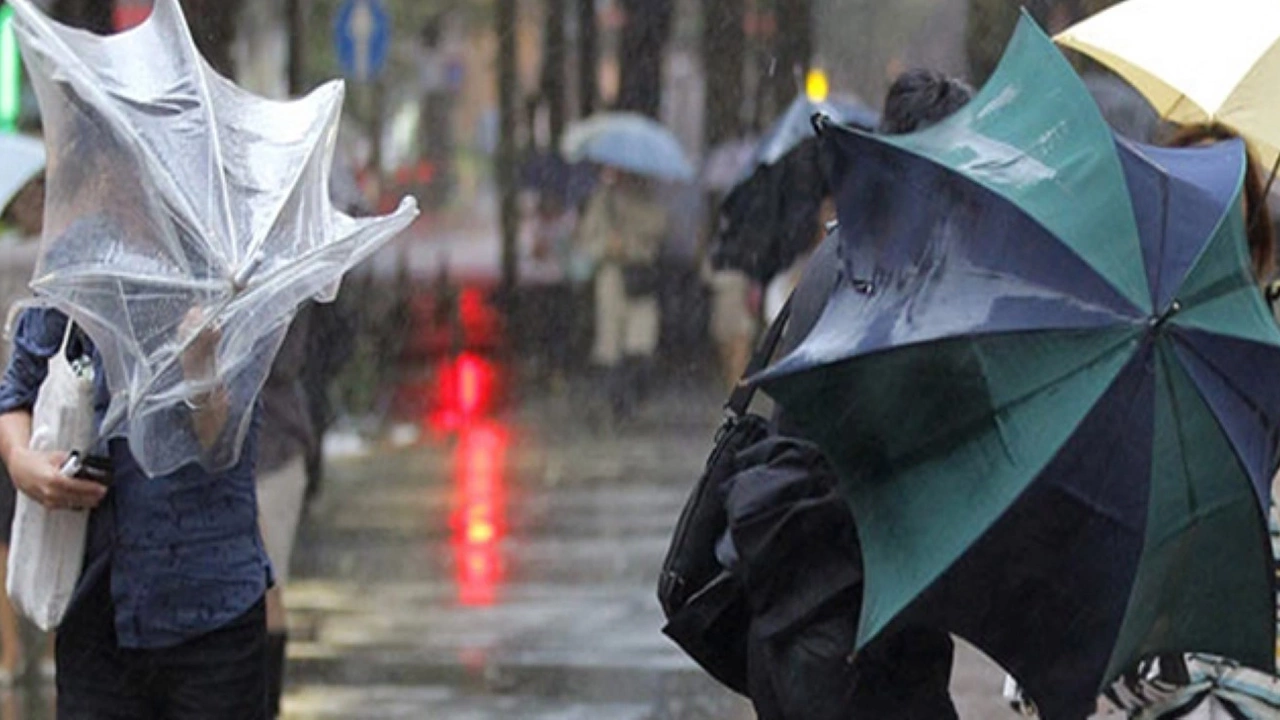 Doğu Karadeniz, Doğu Anadolu, Batman, Siirt, Trabzon, Rize ve çok sayıda il! Meteoroloji sarı kodlu uyarı yaptı
