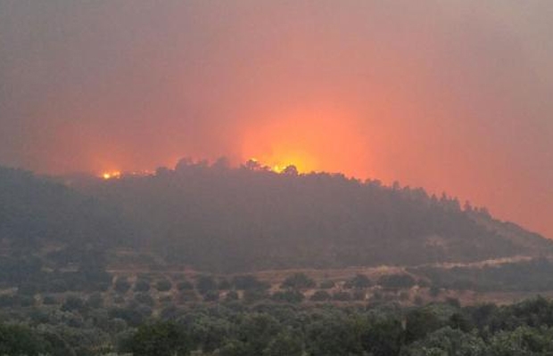 Bir orman yangını daha