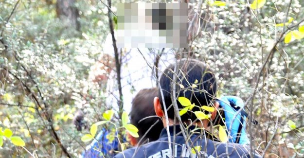 Kayıp iş adamının ağaca asılı cesedi bulundu