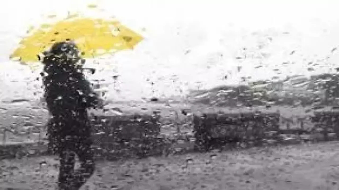 Meteoroloji'den çok sayıda il için yağış uyarısı! İşte il il hava durumu