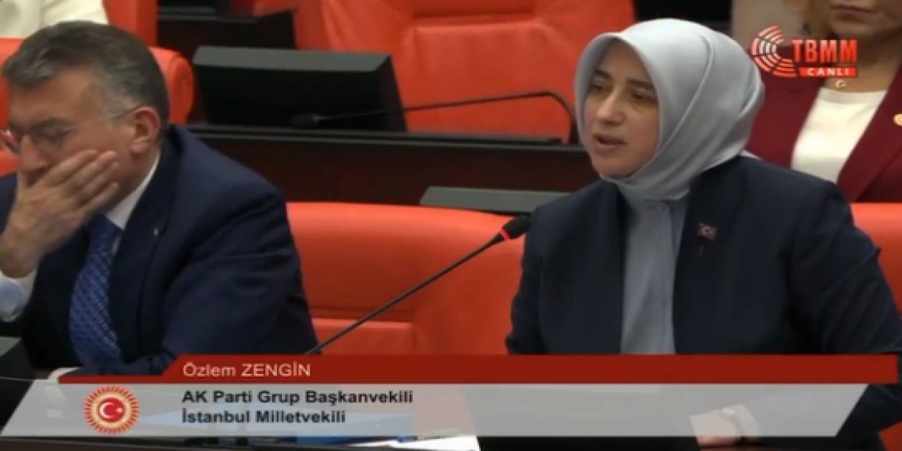 AKP'li Özlem Zengin'den Hasan Bitmez için "Allah'ın gazabı" diyen partililerle ilgili açıklama