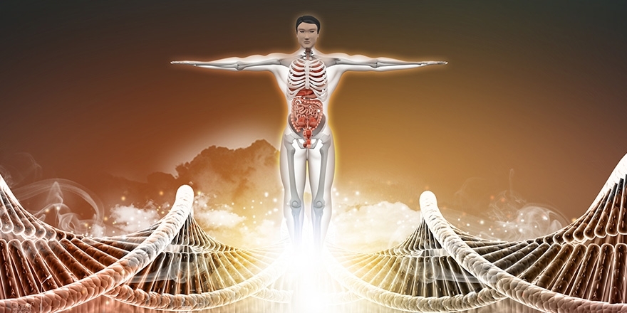 Bilim insanları, insan vücudunda yeni bir organ keşfetti