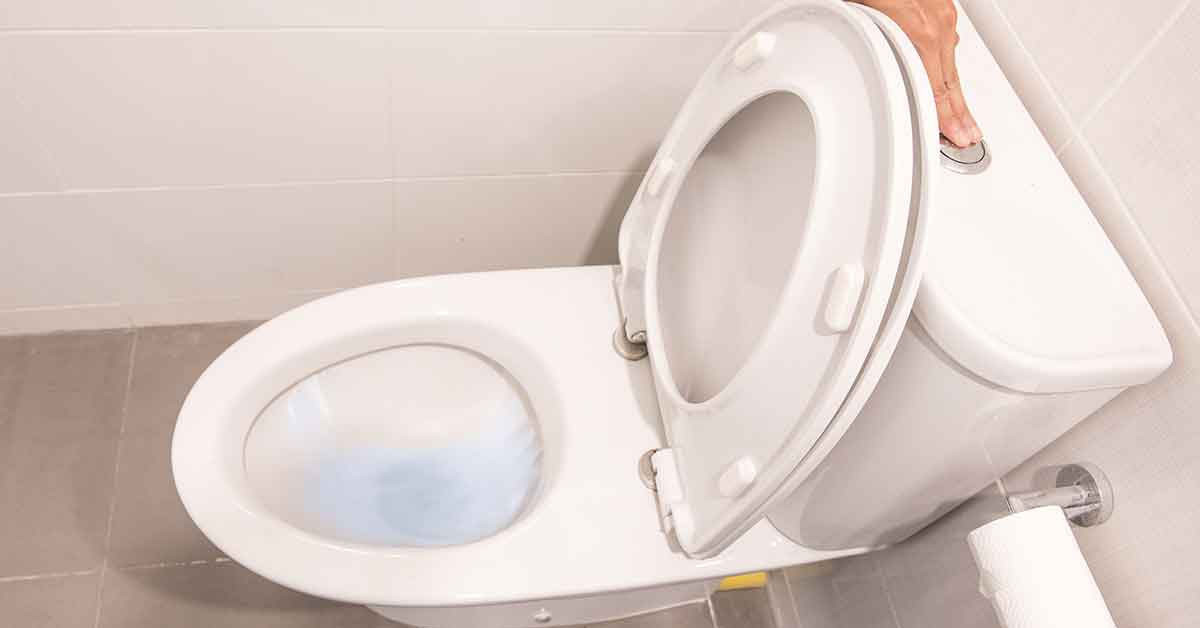 Klozet kapağı açıkken sifon çekerseniz ne olur?