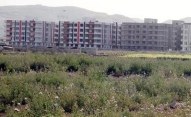 Harran Ovası 10 yılda 3 kat betonlaştı